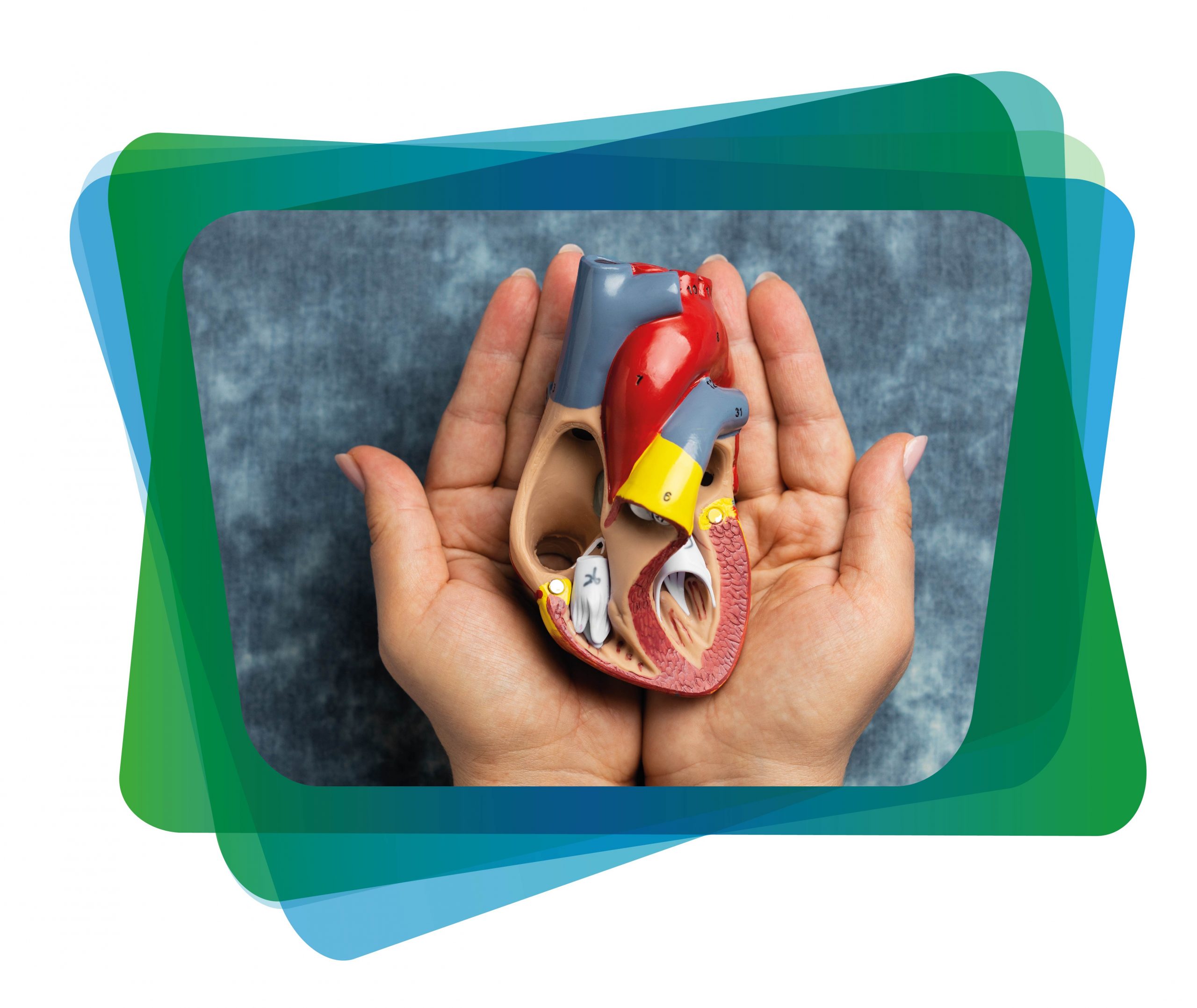 Día de la Donación de órganos Heli Salud